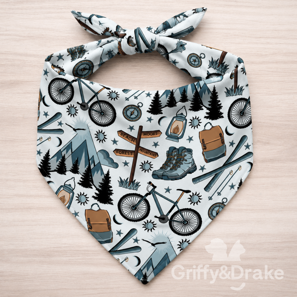 Adventure Awaits Bandana