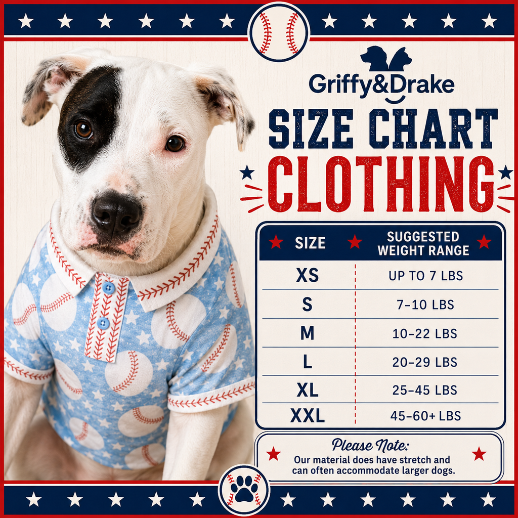 Preorder: Pumpkin Spice & Everything Nice Simple Shirt-BLUE