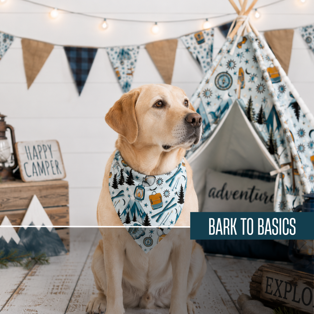 New Retailer Bundle: Bark to Basics