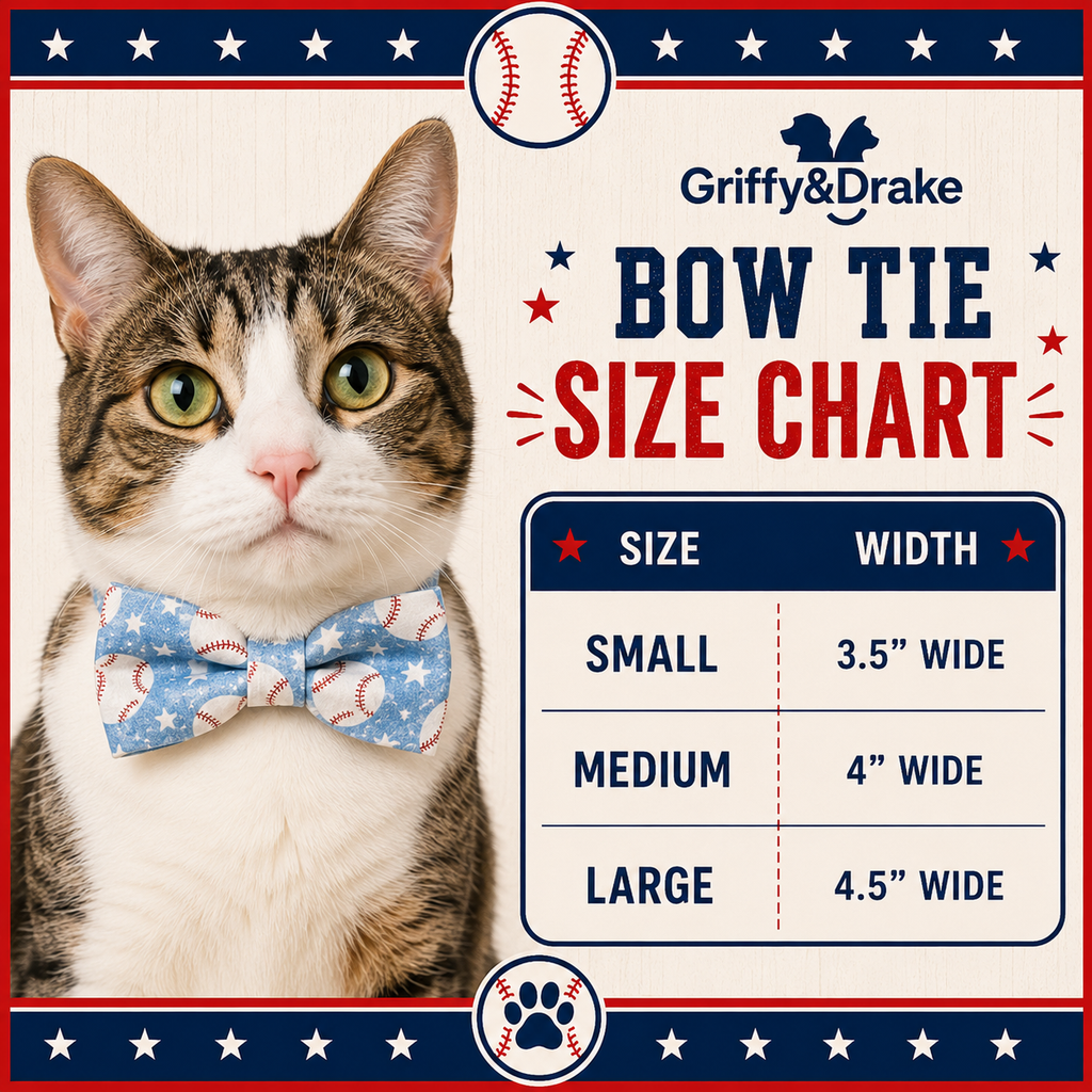 Preorder:Pumpkin Spice & Everything Nice Bow Tie-BLUE